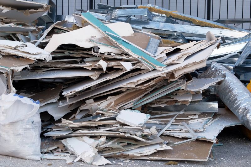 Dead Animal In Wall Removal